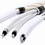 Stealth Dream Petite V16-T